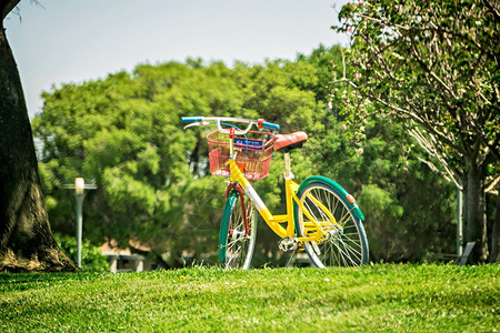 自行车停在公园附近图片
