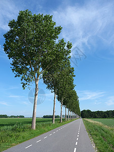 月落乌啼霜满天夏月有蓝天在霍兰的dutchnordstper和utcholan和utch的树条中背景