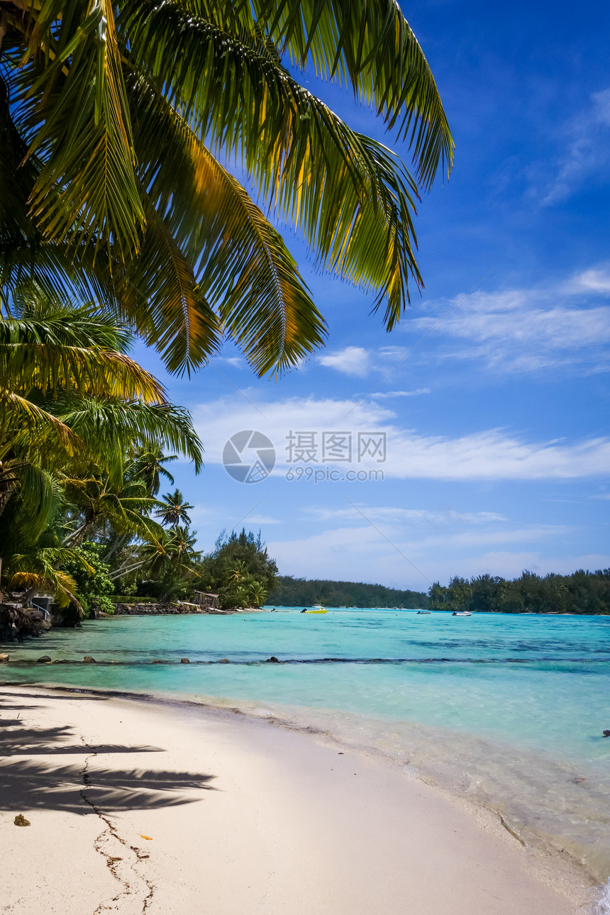 morea岛的热带海滩和环礁湖图片