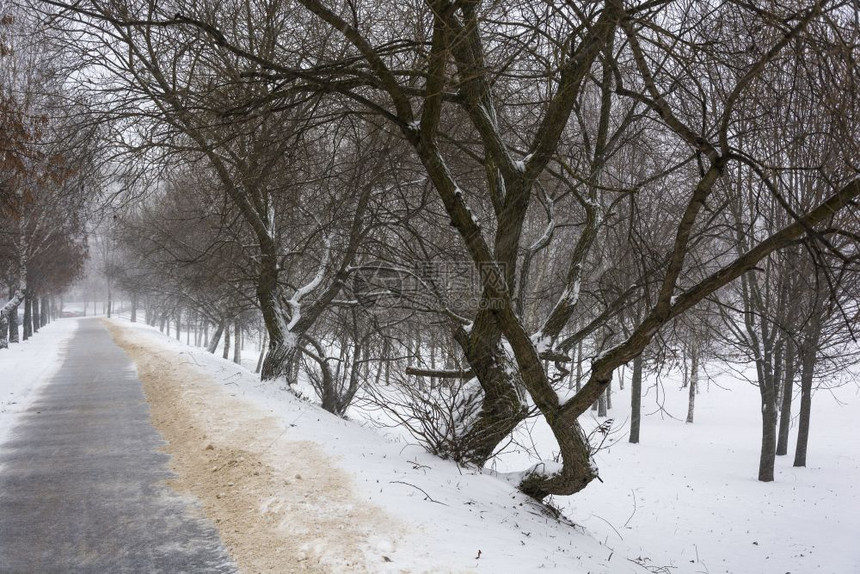 下雪时在公园的小巷里图片