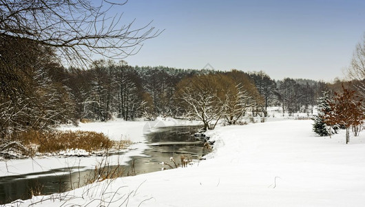 森林河和白雪覆盖的岸背景图片