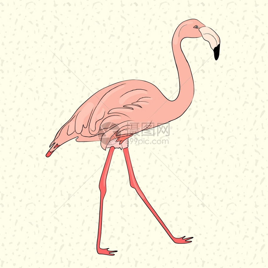 粉红色火烈鸟矢量插画图片