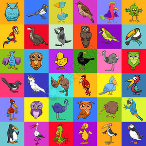 卡通鸟类动物装饰纸设计插图图片