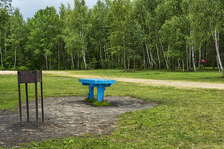 在草地上的森林里有一桌野外娱乐用的木制桌和图片
