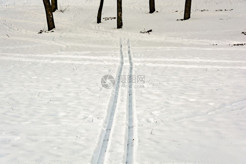 树上积雪的橇图片