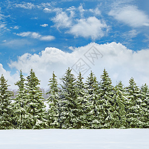 美丽的冬季风景覆盖着雪和的田地图片