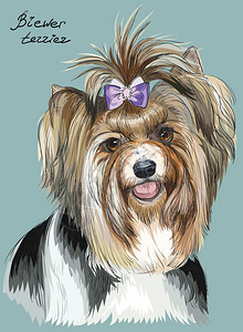 带蝴蝶结的小狗卡通可爱的狗肖像图设计图片