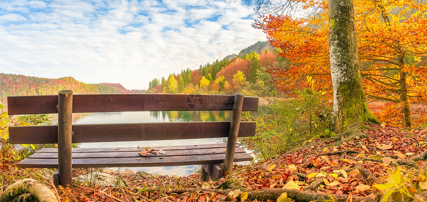 全景在阿尔普西湖岸边有一座旧木板凳四周是多彩的秋叶和森林在巴伐利亚地区德意志图片