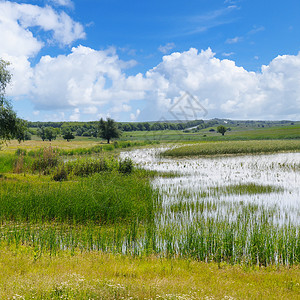 有水生植被和光化草原的老湖背景图片