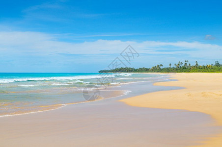 美丽的海洋长沙滩和热带植被背景图片