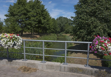 乌斯特韦泽尔在溪边的桥上蚂蚁以北戈雷因附近乡下有花朵背景