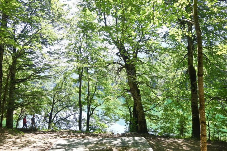 公园Biogradsk山蒙泰格图片