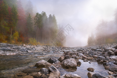 美丽的秋天风景河流穿过石块周围是秋色的森林被神秘雾笼罩着图片