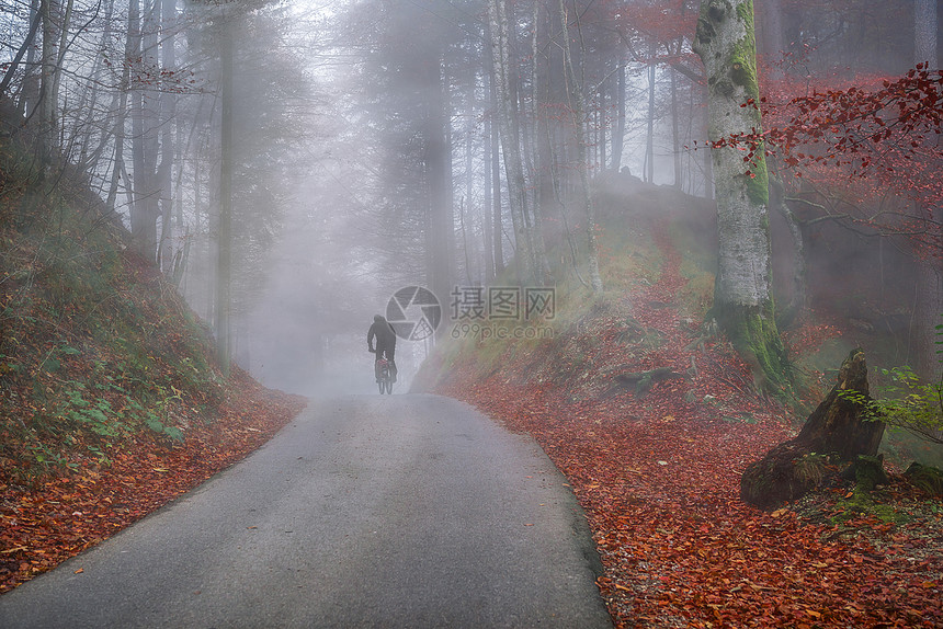 一片多彩的森林和秋叶地毯被雾笼罩着人们骑自行车穿过图片