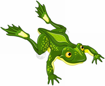 兰诺克沼泽可爱的青蛙插画