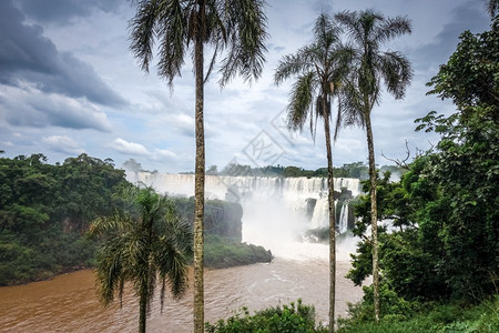 落公园热带瀑布和雨林景观图片