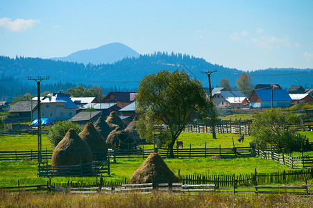 在阳光明媚的白天罗马尼亚的典型村庄景象图片