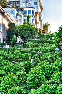 圣弗朗西斯科卡利佛尼亚Lombard街顶端城市浏览量图片