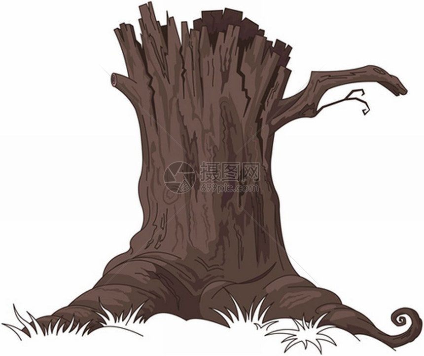 树桩插图图片