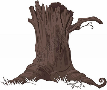 树桩插图图片
