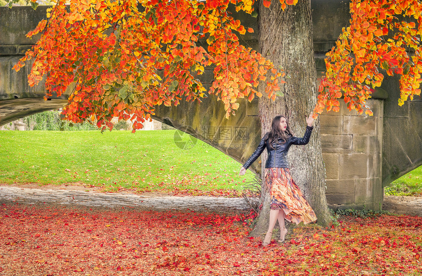 穿着现代衣服和黑夹克的年轻美女在树下散步到达叶享受秋天的颜色和气氛图片
