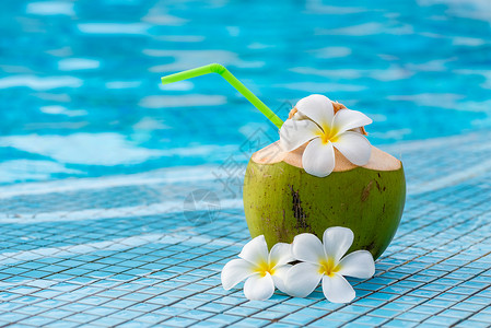游泳池边的椰子图片