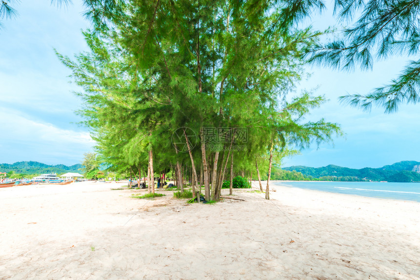 红绿树和海滨白沙滩克拉比省泰国图片