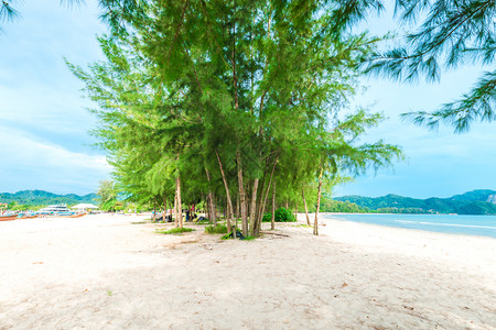 红绿树和海滨白沙滩克拉比省泰国高清图片