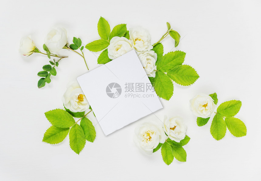 由白纸卡和玫瑰花组成的旧式装饰品白底带绿色叶子的白纸卡和玫瑰花图片