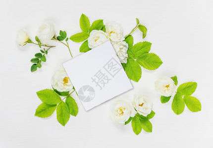 由白纸卡和玫瑰花组成的旧式装饰品白底带绿色叶子的白纸卡和玫瑰花背景图片