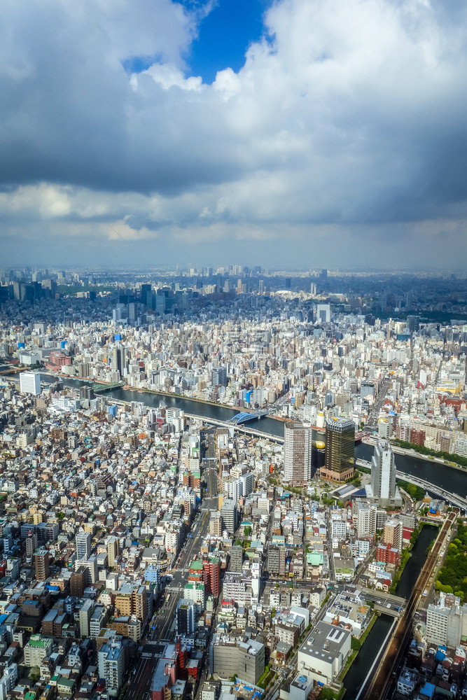 东京市天际空中观测日本图片