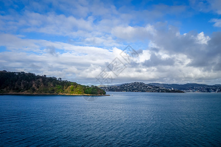 新西兰北岛西兰海边的惠灵顿市新西兰图片