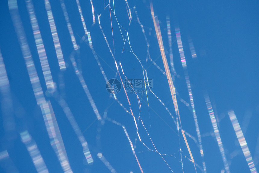 蜘蛛网的飞线图片