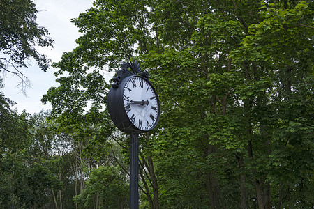 在绿树背景下城市公园中拨打一个大钟图片