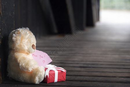 情人节主题图像可爱的毛熊玩具拿着粉红色纸带短信和红色礼物盒带白丝坐在木质隧道里背景图片