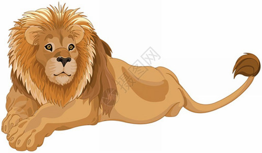 华丽狮子插图图片