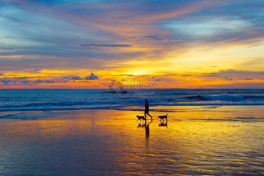 一个男人与狗在海滩上行走的剪影图片