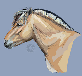 蓝色背景上的手绘马背景图片