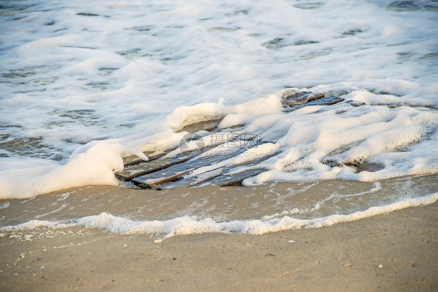 漂浮木黄海沙滩的调色板图片