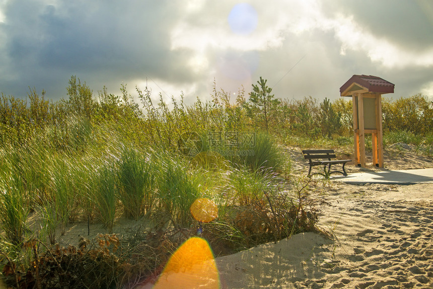 黄海沙滩草和背光的公园长椅图片