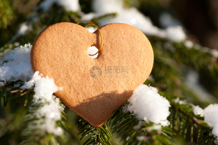 姜饼干以心脏的形状在森林树枝上图片