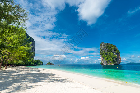 沙滩上树荫下Krabi的照片泰国图片