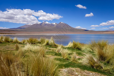 帕利纳科塔altiplanolaguna位于玻利维亚的sudlipezreservaeduardoavaroaaltiplanolagun背景