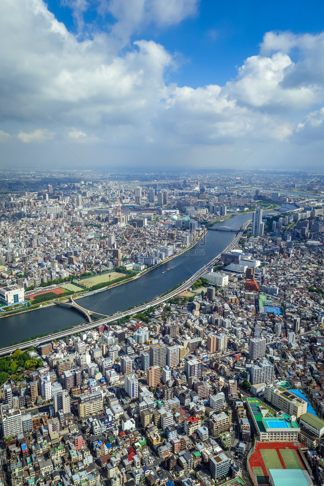 东京市天际空中观测日本图片