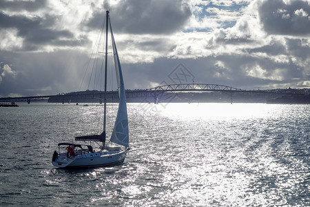 奥克兰帆船建筑景观高清图片