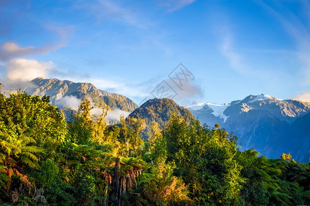 FranzJosef冰川和雨林景观新西兰franz冰川和雨林图片