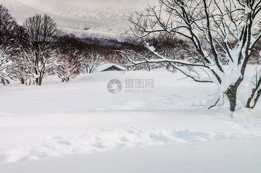 冬天中白雪覆盖了亚潘阿奥莫里哈科达山脚下的土地图片