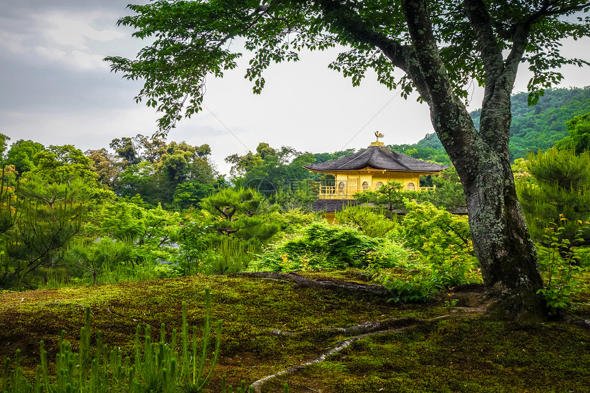 日本京都的金阁寺展馆金阁寺京都日本图片