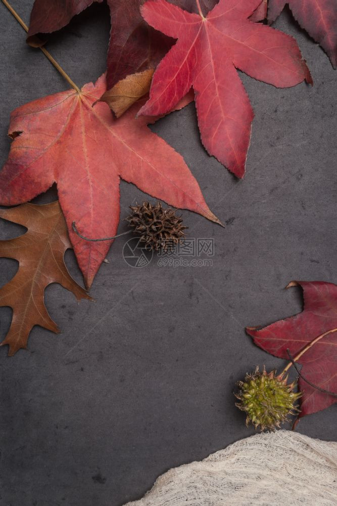 秋天的叶黑色背景与复制空间图片