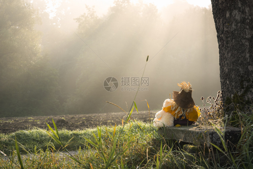 泰迪熊和稻草人拥抱坐在树下图片